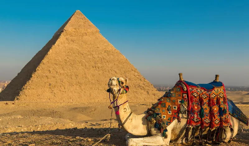 Grand Egyptian Museum