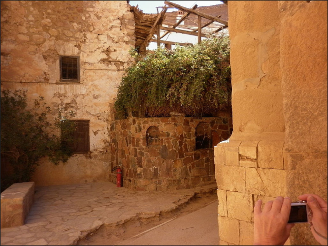 Burning Bush Saint Catherine Monastery 