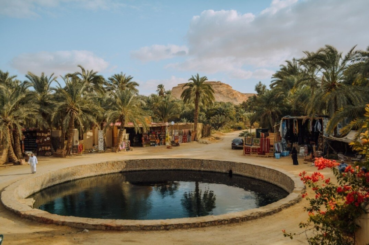 swim in natural spring in Siwa oasis tour from Cairo 