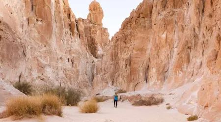 Egypt Most Scenic Road Trips