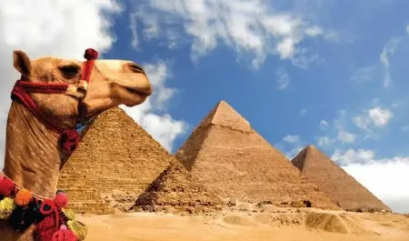 Pyramides Quads et balade a dos de chameau