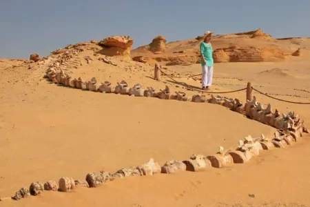 Wadi El Hitan