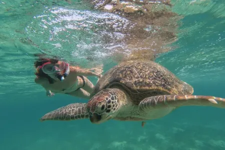 Crociera sul Nilo e Marsa Alam