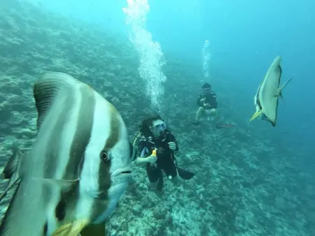 hurghada snorkeling tour