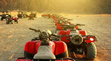 Top Wildlife Experiences Egypt