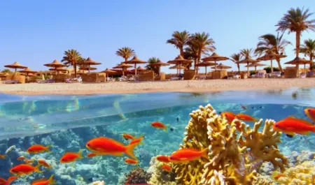 Hurghada beach with coral reef and fish below the waterline