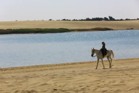 fayoum safari