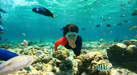 Los Mejores Lugares Para Hacer Snorkel En Egipto Más Allá De Hurghada